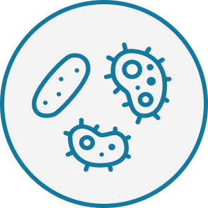 Illustration of bacteria and mold spores on a circular background.